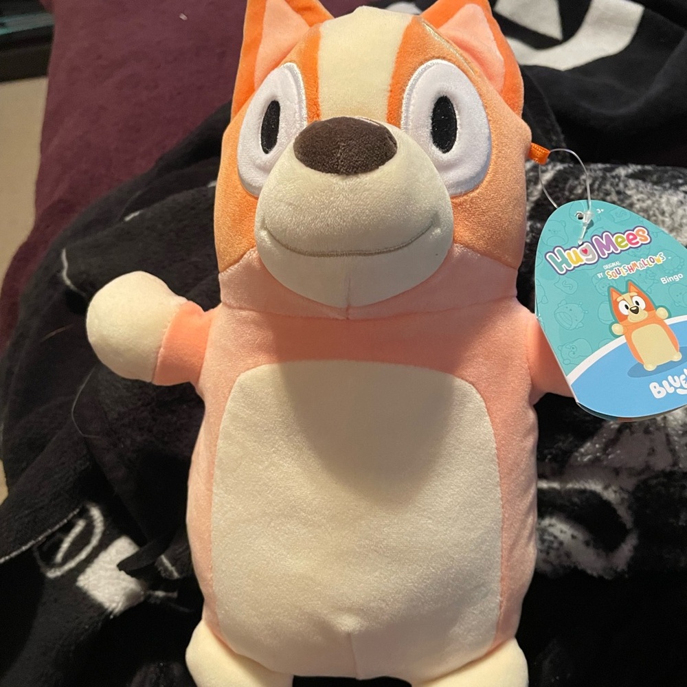 Bingo Squishmallow